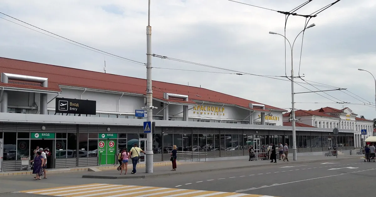 Пересадка в Краснодаре